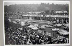1000 Km 1962 Winner Phil