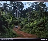 Weber/feltz Vw Golf Gti 16v