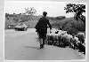 Motorsport Classics Targa Florio 1968