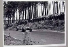 1969 Piers Courage Brabham Bt 1969 Piers Courage Brabham Bt