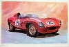 Very Very Rare Jaguar D-type