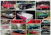 Ford 1949-1959