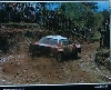 Mehta/combes Nissan 240 Rs Safari