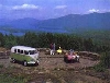 Vw Volkswagen Bulli Bus Transporter Vw Volkswagen Bulli Bus Transporter